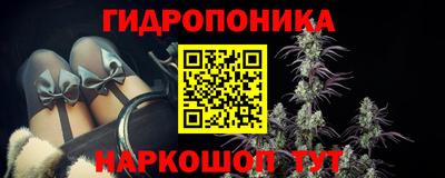 шишки Волгодонск